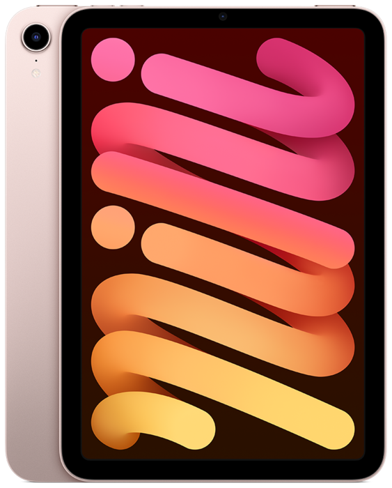 iPad mini (2021) 256Gb Wi-Fi Pink/Розовый - фото