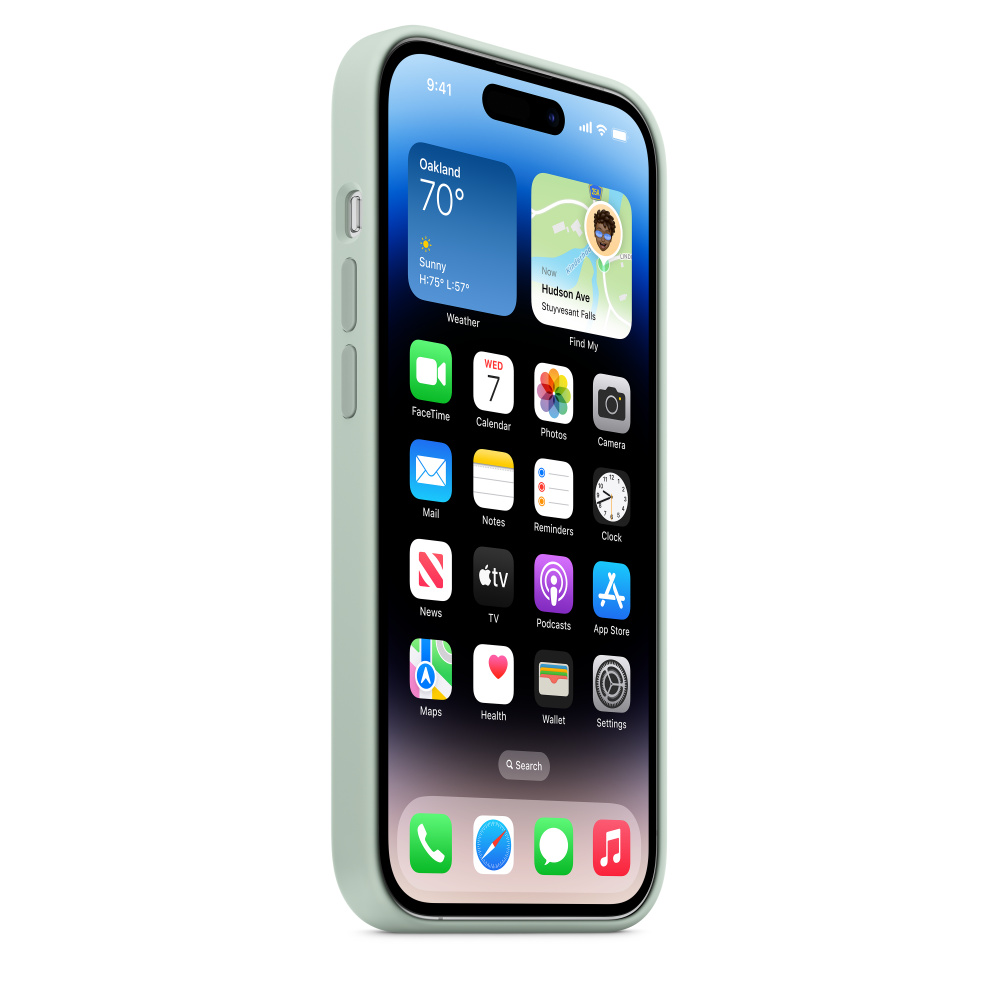 Силиконовый чехол MagSafe для iPhone 14 Pro - Succulent (MPTL3) - фото 0